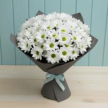 Букет цветов из:  Хризантемы #REPLACE_PRED# Губкине