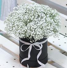 Цветочная композиция из Гипсофила в шляпной коробке #REPLACE_PRED# Губкине