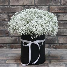 Цветочная композиция из Гипсофила в шляпной коробке в Губкине