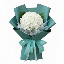 Букет цветов из:  Гортензия в Губкине